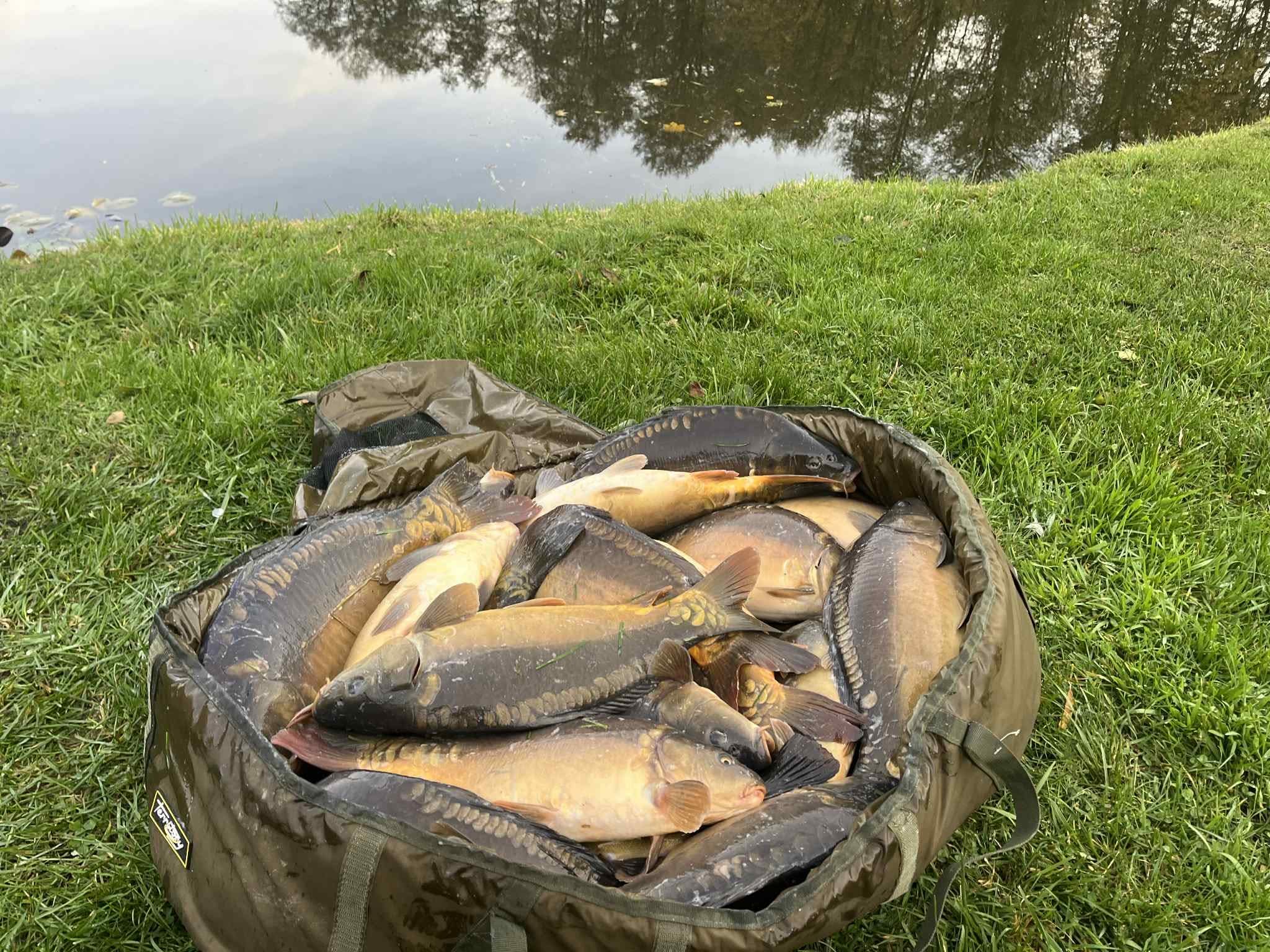 Sezon 2025 WhatsApp 102